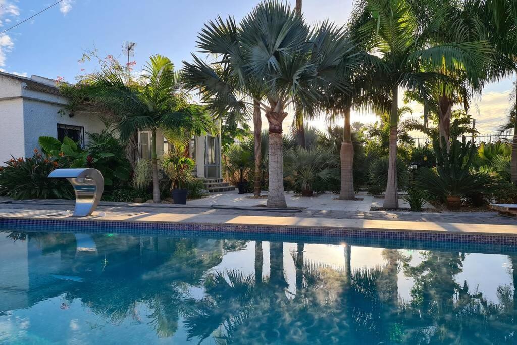 Tropical Paradise Villa in Torrevieja Exterior foto
