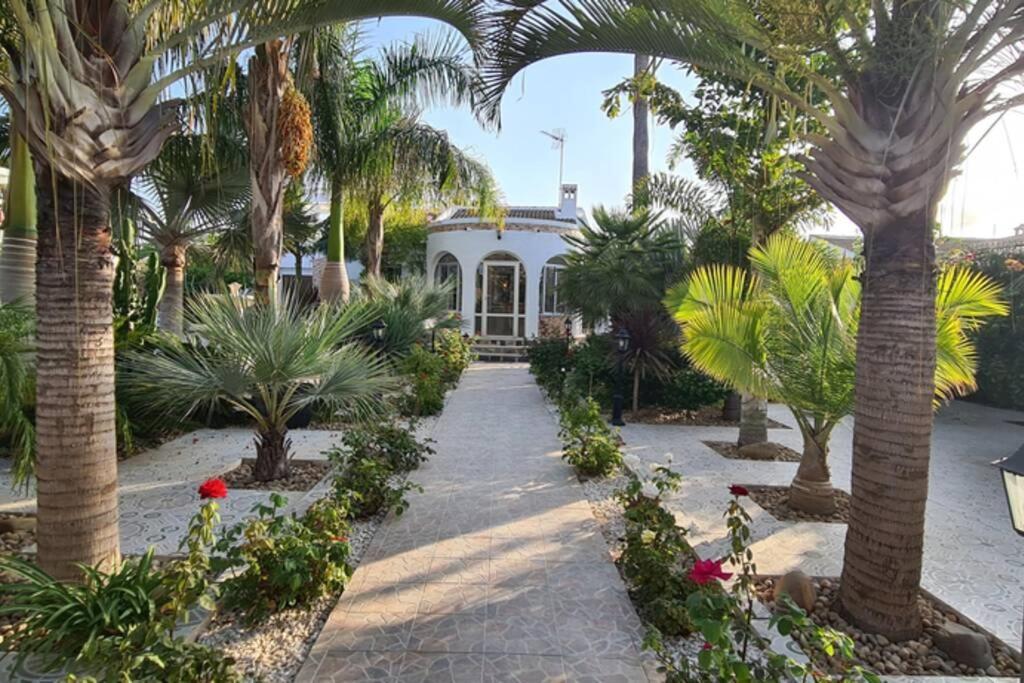 Tropical Paradise Villa in Torrevieja Exterior foto