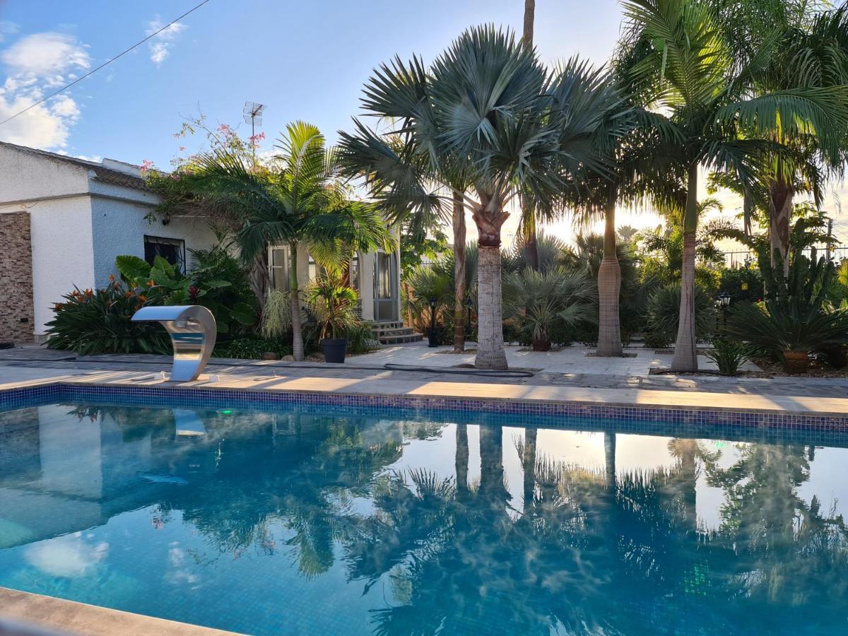 Tropical Paradise Villa in Torrevieja Exterior foto